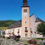 Vermietung Ronner Lejlighed