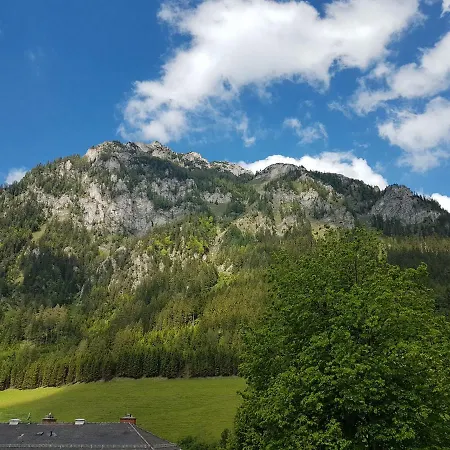 Vermietung Ronner